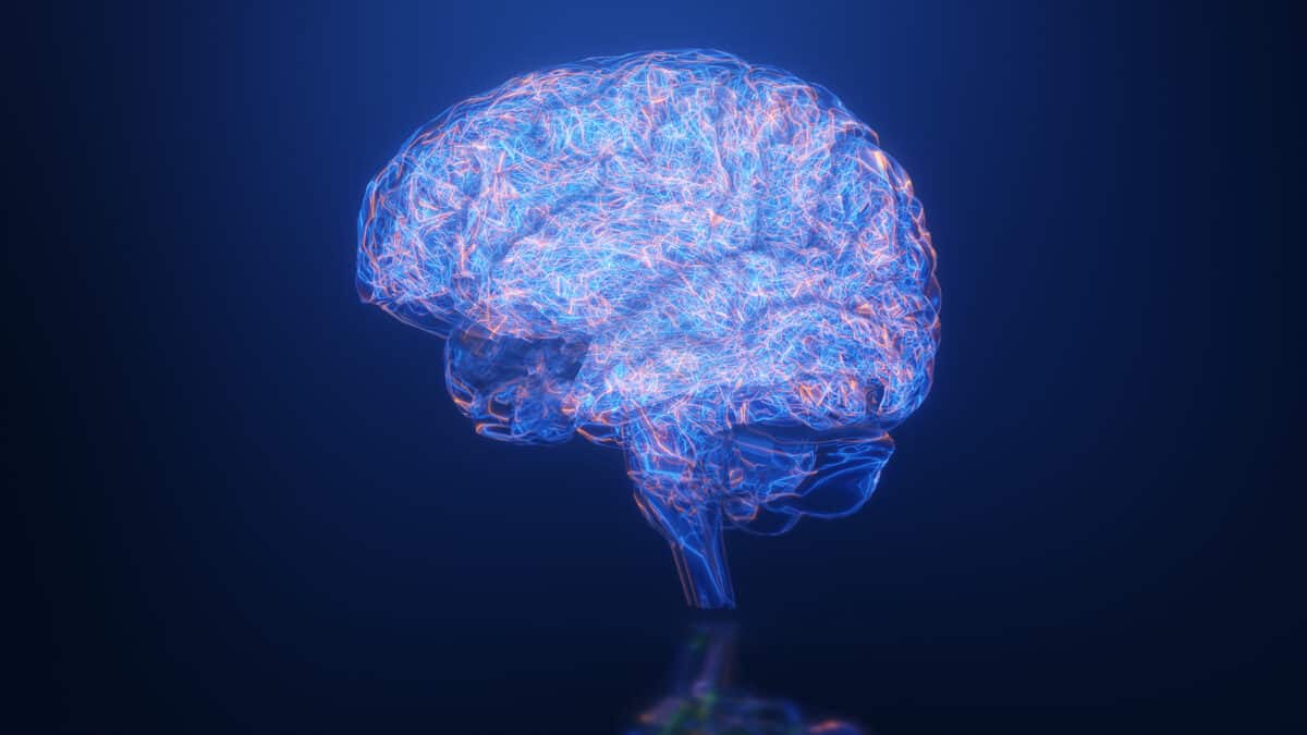 Image of brain