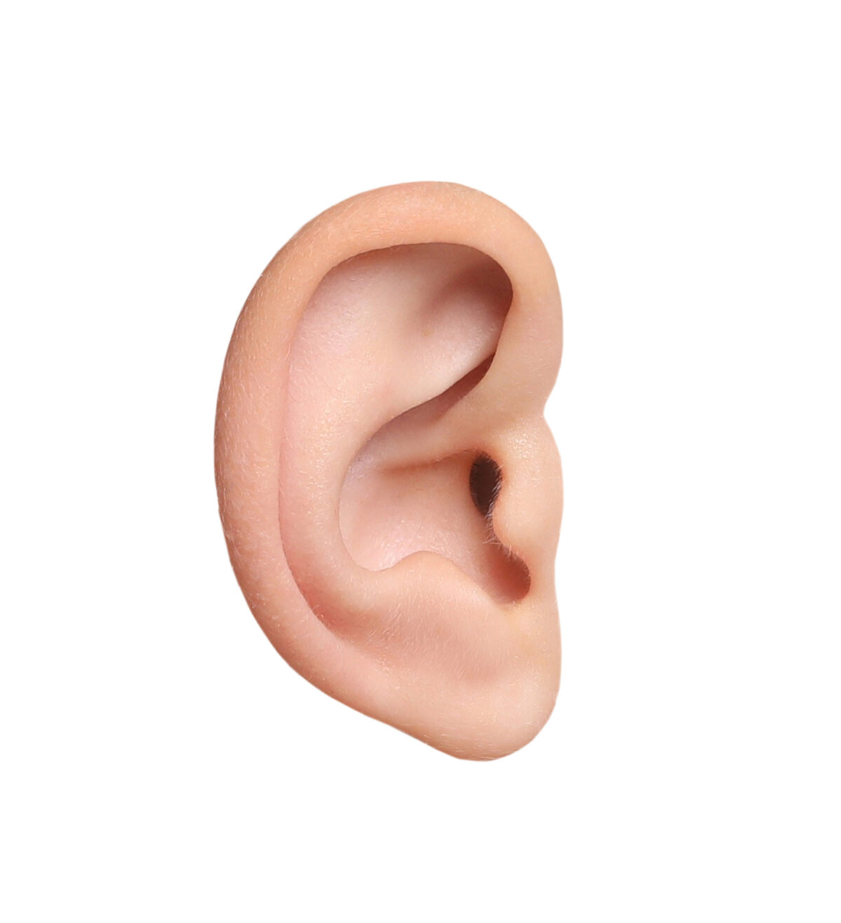 Image of human ear on white background