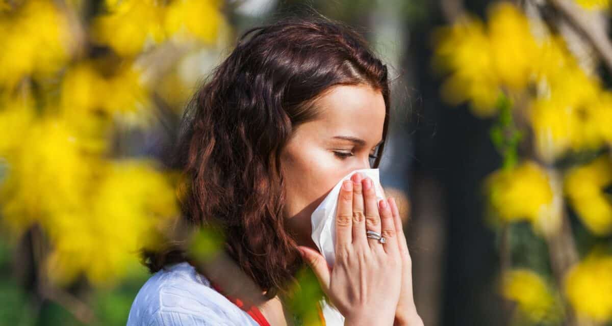 Clearing the Air - How to Manage Your Tree Pollen Allergies