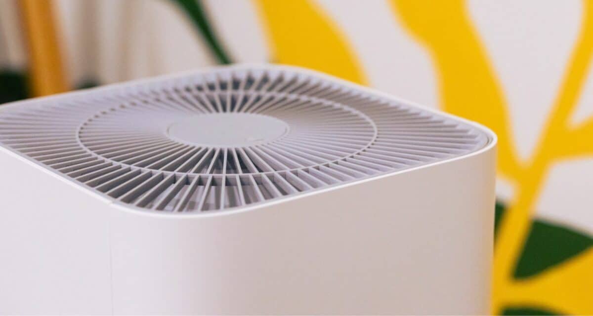 What to Know About Air Cleaners - Allergies
